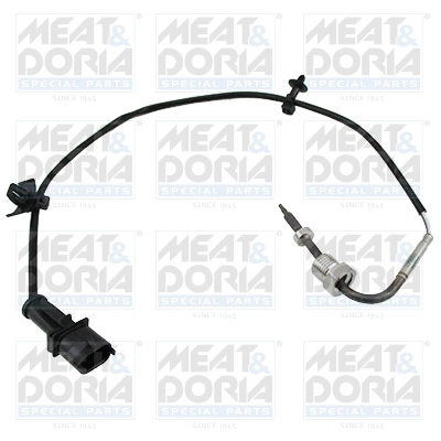Sensor, exhaust gas temperature